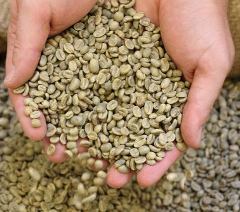 Green coffee 250g
